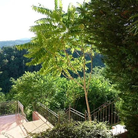 Flora Lägenhet Opatija