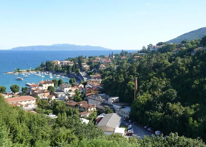 Flora * אופטיה