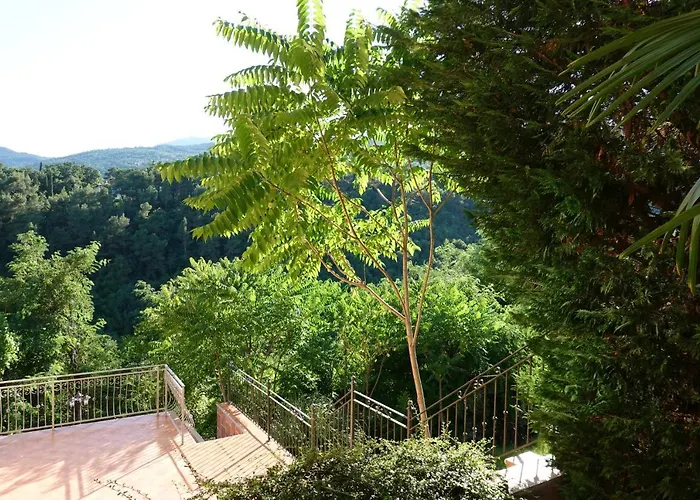 Flora דירה אופטיה